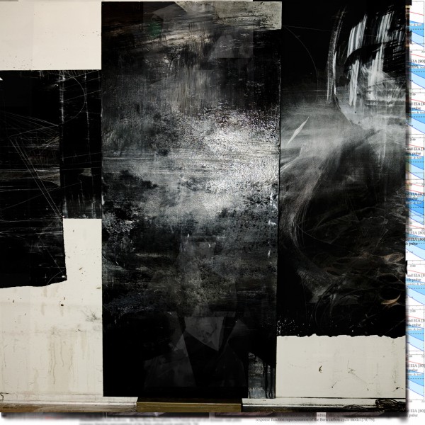 Carbon Cycle Model (Pulse) CARBON CYCLE MODEL (PULSE), 2009, C- print, 49 x 49 inches. Courtesy of Silverman Gallery, San Francisco.